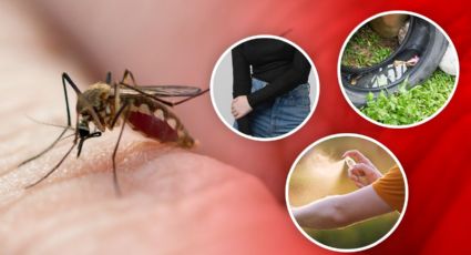 Sigue estas recomendaciones para prevenir el dengue