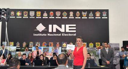 INE designa interventor para liquidación del PRD al perder su registro