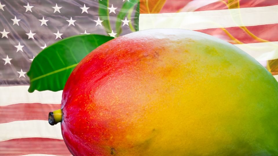 La fruta sufre de un alto en sus inspecciones por parte de Estados Unidos.