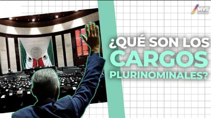 ¿Qué son los cargos plurinominales?