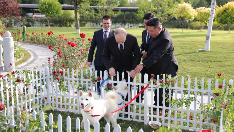 Vladímir Putin recibe importante condecoración de parte de Corea del Norte.