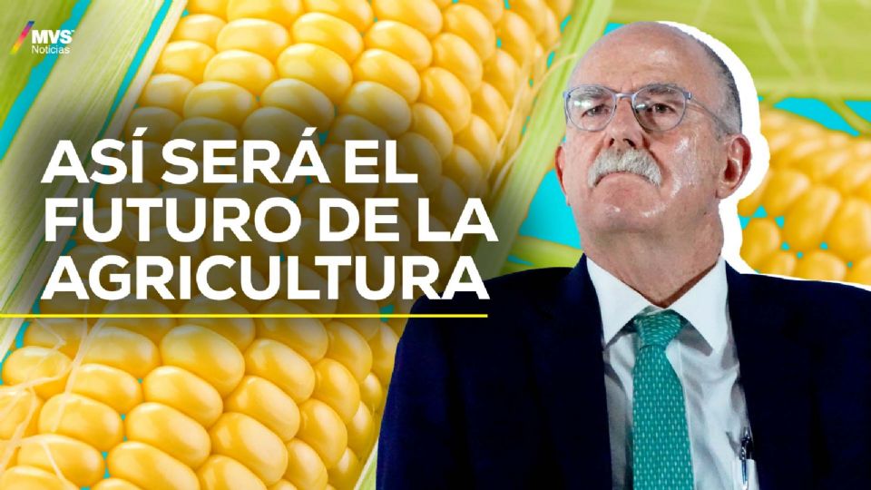 Julio Berdegué estará al frente de la Secretaría de Agricultura y Desarrollo Rural en el gobierno de Claudia Sheinbaum.