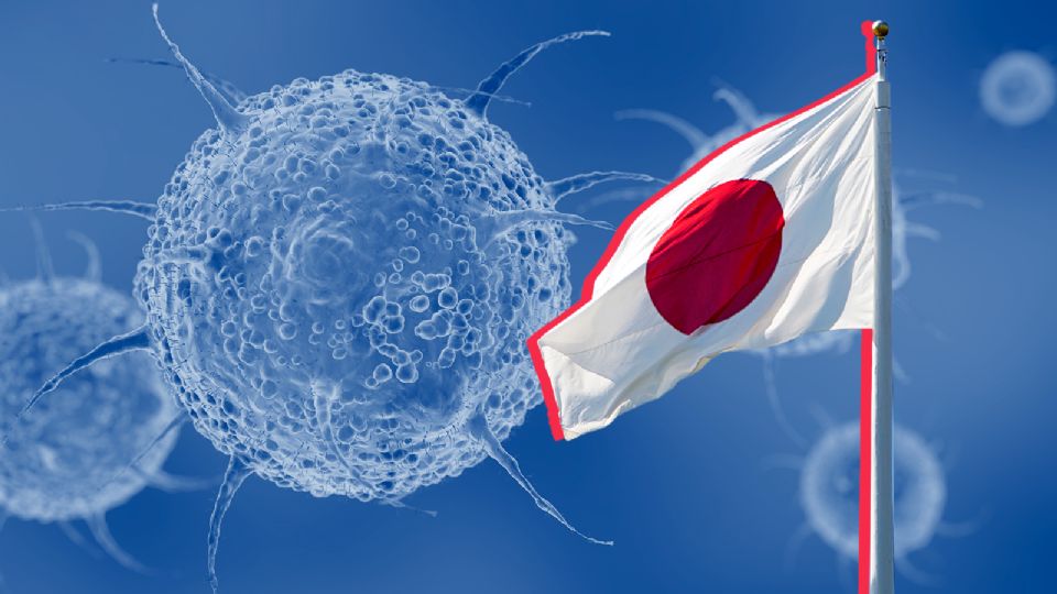 Un nuevo virus invade Japón.