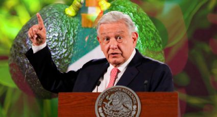 ¿Cómo va el asunto del aguacate y el mango? Esto explicó AMLO