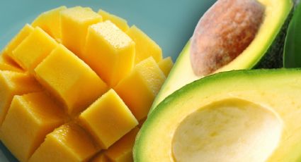 EU levanta castigo a mango y aguacate michoacano ¿Qué acuerdo lograron?