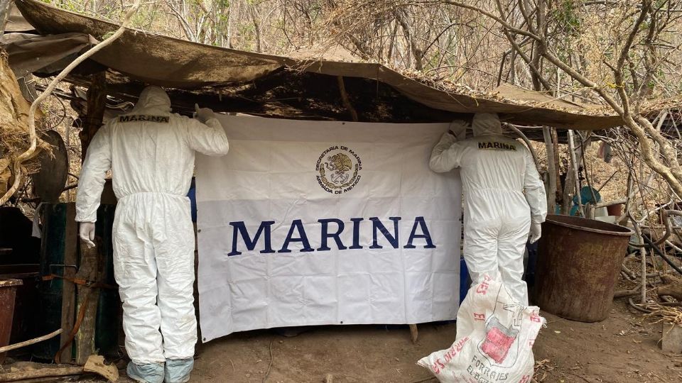 Los laboratorios y material diverso asegurados, fueron destruidos en el lugar.
