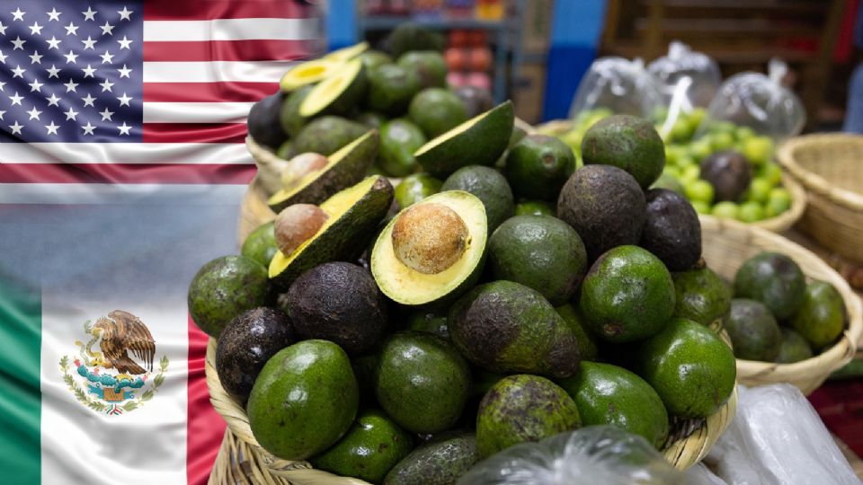 Alfredo Ramírez Bedolla celebra reactivación de inspecciones de EU a aguacate.