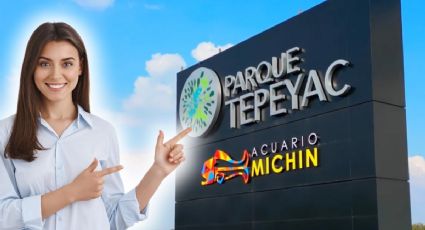 Acuario Tepeyac: costo de los boletos para el acuario Michin y todo lo que incluye el acceso