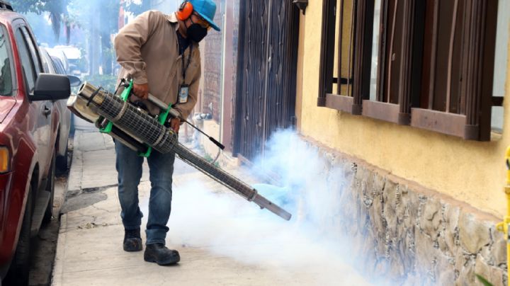 Ante lluvias, pide Salud reforzar medidas contra el dengue