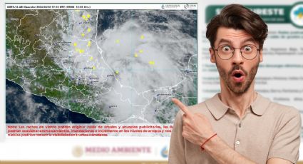 ¿Cuándo impactaría el huracán ‘Beryl’ en México? Estados afectados