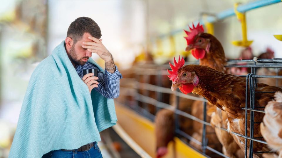 ¿Qué es la influenza aviar A subtipo H5N2 que ya cobró la vida de un mexicano?