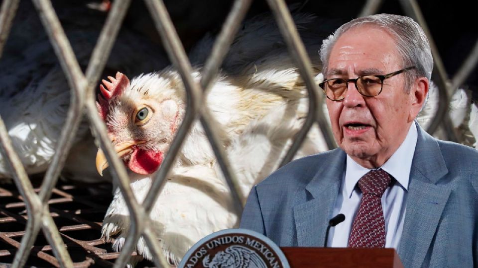 Salud aclara que el hombre que murió por supuesto contagio de gripe aviar AH5N2 fue por otros padecimientos.