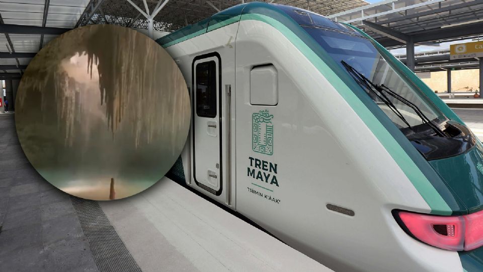 Obras del Tren Maya siguen afectando el medio ambiente.