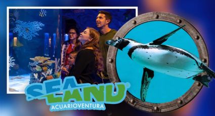 ¡Llega Sealand a Monterrey! mañana abre sus puertas el primer acuario en NL