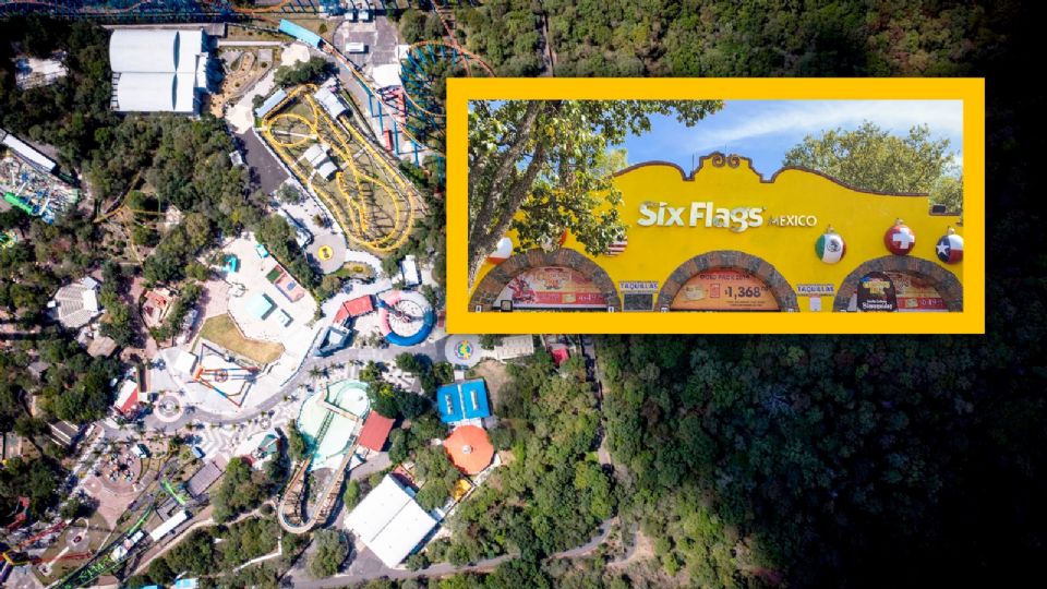 Six Flags realiza una consulta para poder talar 150 árboles para una nueva atracción.