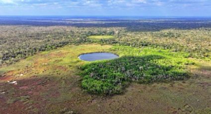 Ponen a consulta pública declarar área natural protegida en Tulum y Cozumel