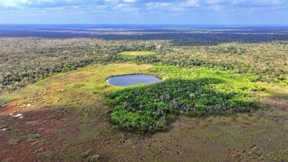 De forma adicional se protegerán al menos 34 especies polinizadoras.