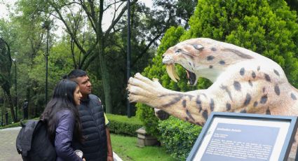 Prevé Sedeco derrama económica 'histórica' para CDMX durante el verano