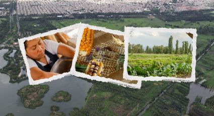 ‘Chinampa Fuego Vivo’ en Xochimilco: así es la nueva experiencia gastronómica en la naturaleza