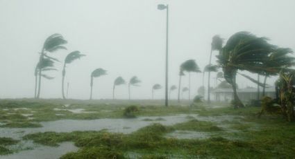 Se prepara CFE para impacto de Beryl