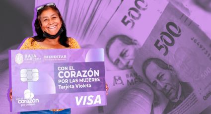 Tarjeta Violeta Bienestar: Este día de julio termina el registro para obtener 2 mil 600 pesos bimestrales