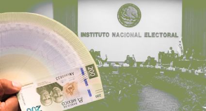 INE optó por la flexibilidad en lugar del rigor en la aplicación de la ley: Alberto Begné