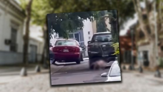 Video de perrito arrastrado por una camioneta en Jalisco causa indignación en redes
