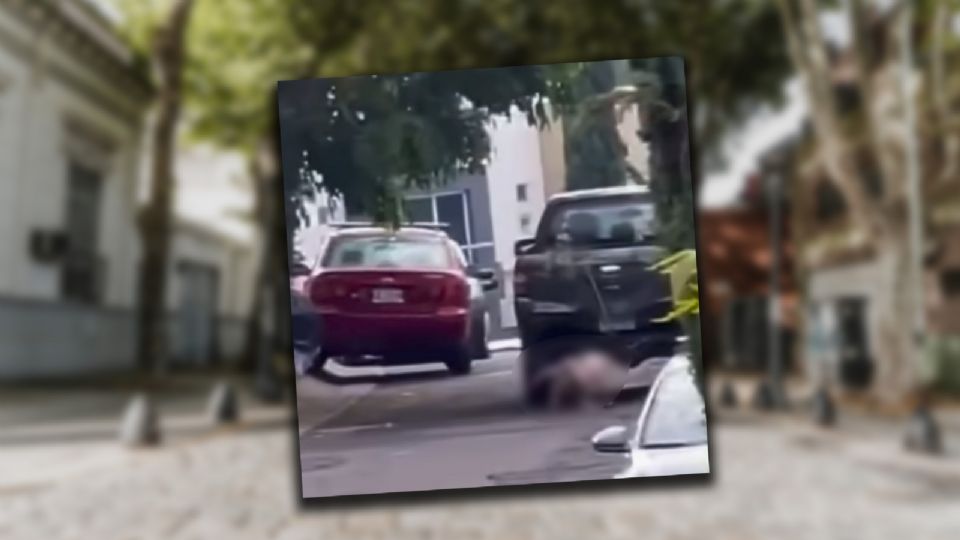En la comunidad de Tlajomulco de Zúñiga, Jalisco, un sujeto amarró a su perro de su camioneta para darle un castigo.