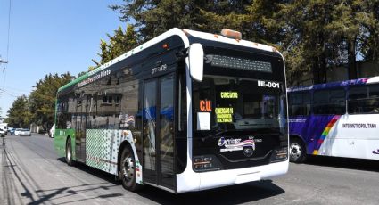 Senadores del PT presentan iniciativa para transporte público de pasajeros y carga; ¿de qué trata?