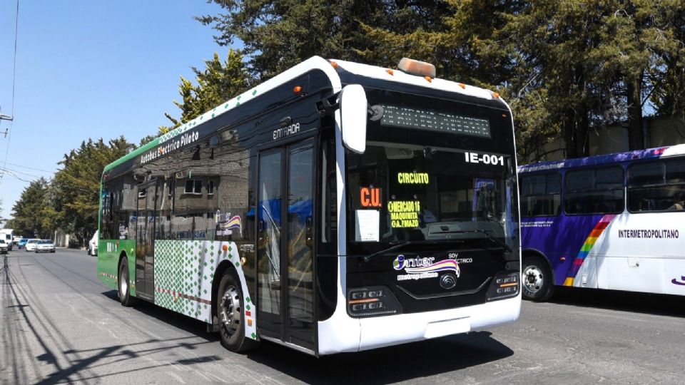 La coordinadora del PT en la Cámara Alta, Geovanna Bañuelos, advirtió que el transporte público está plagado de unidades anticuadas.