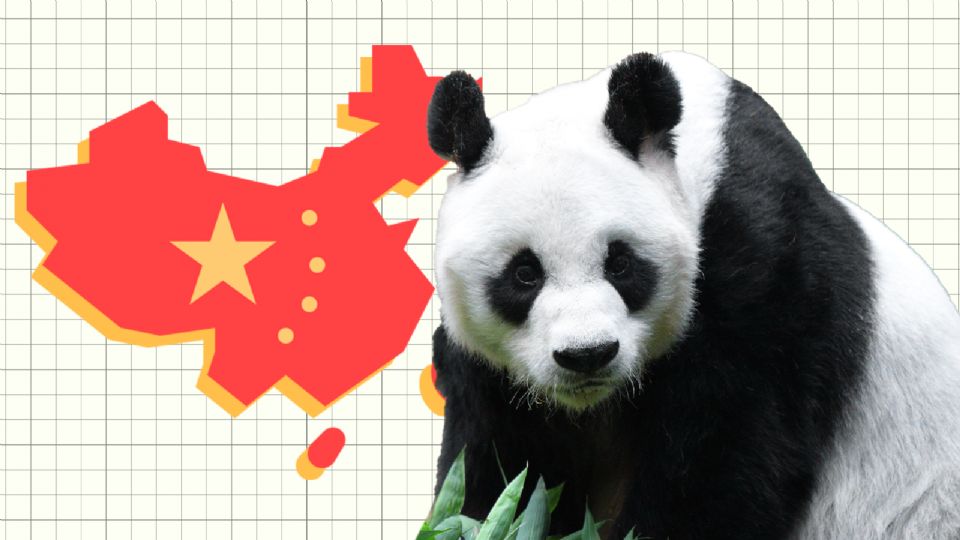 La Diplomacia del Panda es una muestra de amistad entre naciones.