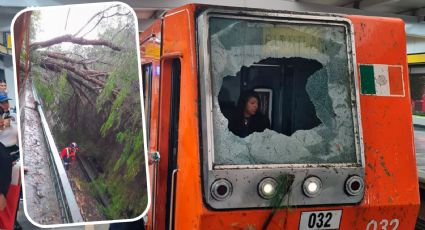 Caída de árbol en vías del Metro lesiona a conductora y daña tren motriz