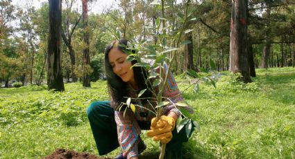 Lía Limón da banderazo a cuarta jornada de reforestación en la alcaldía Álvaro Obregón