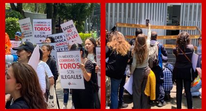 Activistas contra las corridas de toros se manifiestan frente a Sader