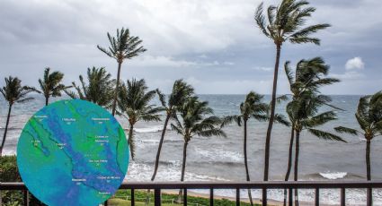 Depresión tropical Aletta, ¿ya no representa peligro para México?; esta es su trayectoria hoy 5 de julio