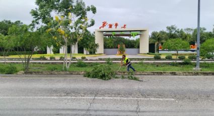 SICT reporta incidencias menores tras paso de huracán Beryl