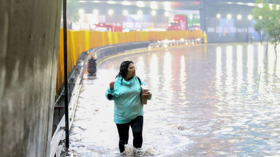 Actualmente la falta de agua potable es un problema de nivel mundial, ya que el 40% de la población global, no cuenta con ello.