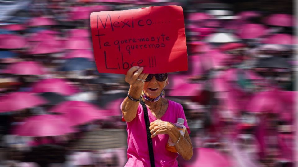 La Marea Rosa había descartado convertirse en partido político.