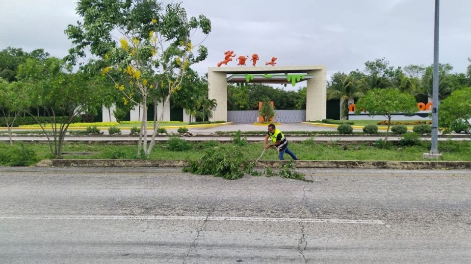 No se encontraron afectaciones mayores.