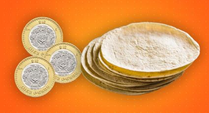 Alertan que el precio de la tortilla subirá a $30 en Nuevo León