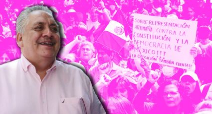 ¿Qué presentó la Marea Rosa ante el INE? Esto explica Guadalupe Acosta Naranjo