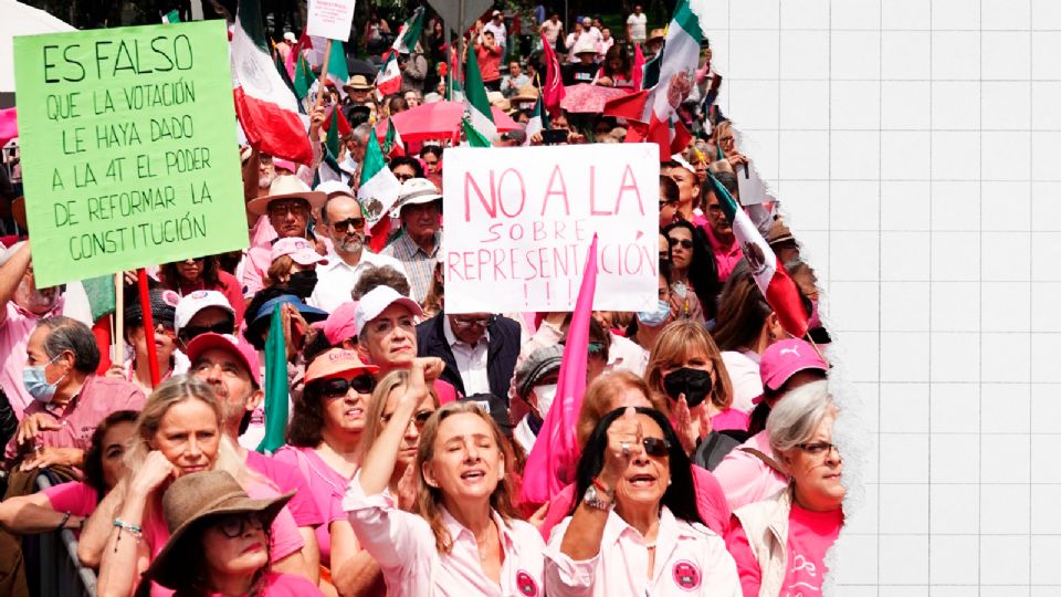 La Marea Rosa se manifestó ante el INE.