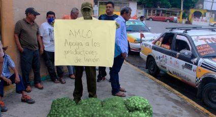 'Lanzan comunicado falso para afectar paro de productores de limón en Michoacán': Guadalupe Mora