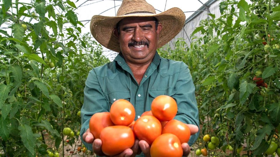 Las exportaciones con mayor crecimiento en el primer semestre del año fueron las de jugo de naranja congelado, con 77.87%.