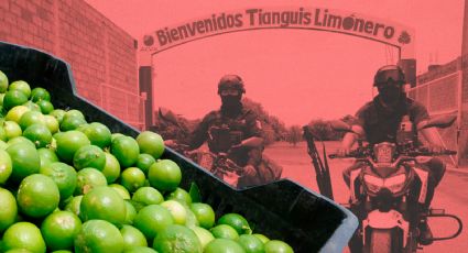 Limoneros en Michoacán detienen producción por extorsiones; gobierno desmiente comunicado