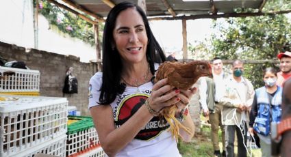 Lía Limon entrega gallinas ponedoras como parte del programa ‘Alimento Sustentable 2024’