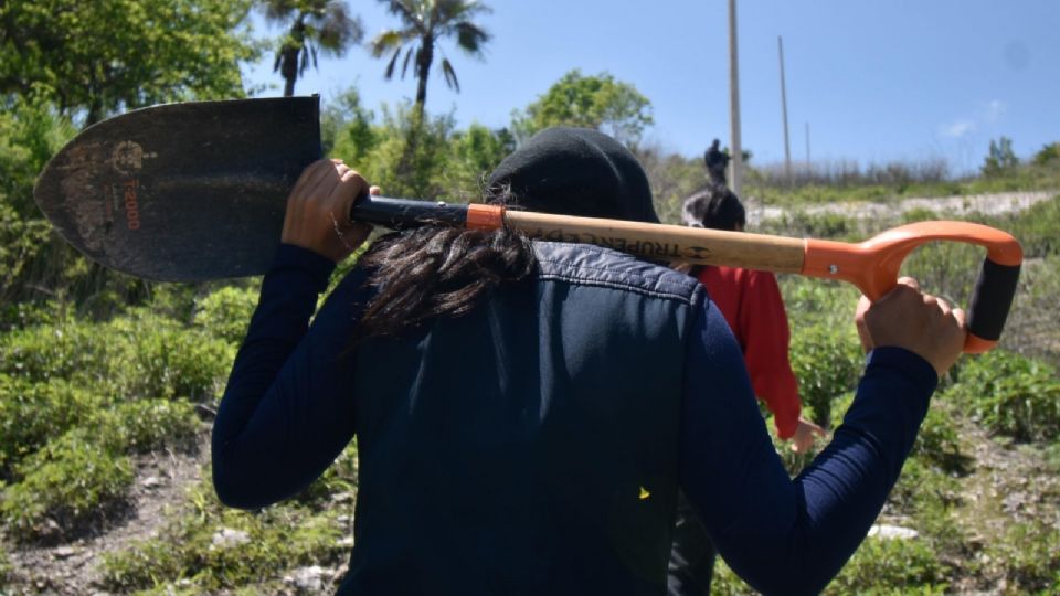 Los estados con más cuerpos exhumados de fosas clandestinas sin Jalisco, Sonora y Veracruz.