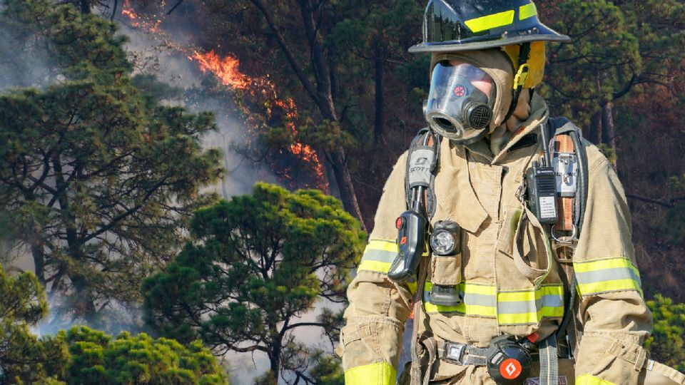 Dichos megaincendios se caracterizaron por ser muy extremos en cuanto a dimensión, muertes, desplazamientos y destrucción de la naturaleza.