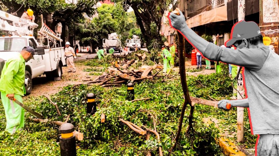 Caída de árboles en la CDMX.