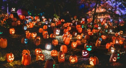 ¡Prepárate! Ya llega el Festival de la Calabaza en Monterrey